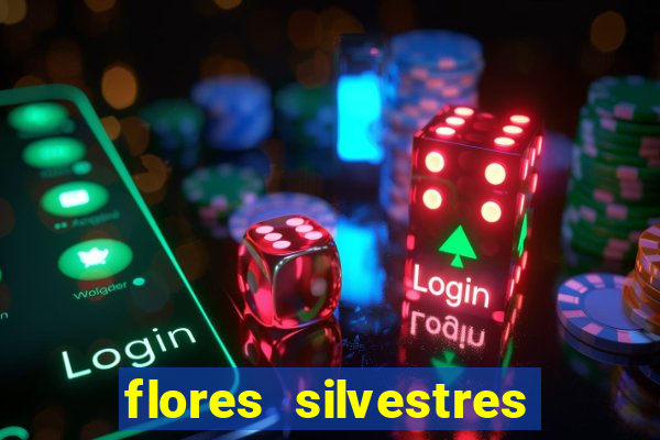 flores silvestres desbravadores desbravadores 25 flores silvestres e seus nomes